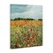 Stupell Industries Vivid Meadow Abstraction Canvas By Carol Robinson